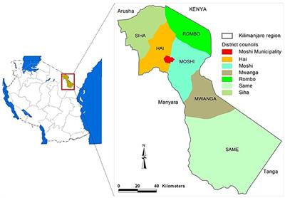 Psychological wellbeing among carers of children and adolescents with physical disabilities in North-Eastern Tanzania—a cross-sectional survey study